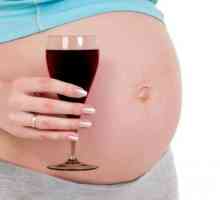 Alkohol v těhotenství