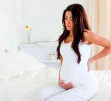 Žaludku během těhotenství