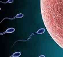 První vytvořené spermie z lidské kůže