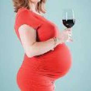 Alkohol v těhotenství - škody a následky