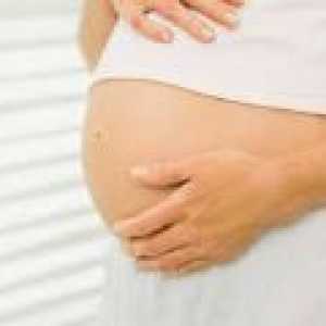 Jak se ženské tělo během těhotenství?