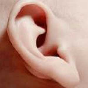 Proč necitlivé ucho? důvody