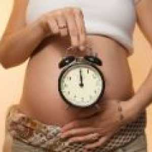 Předchůdci porodu - co potřebujete vědět těhotná?