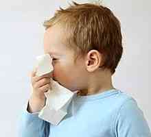 Alergická rýma u dětí