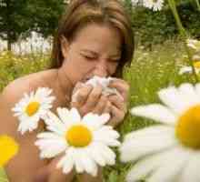 Alergie léto u dětí, u dospělých, léčba