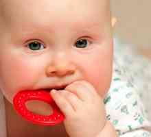 Jak pomoci vašemu dítěti vyrovnat se svěděním při prořezávání zubů