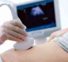 Kdy první ultrazvuk v těhotenství?