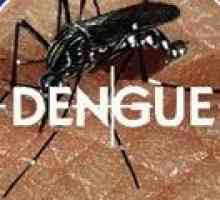 Horečka dengue: příčiny, příznaky, léčba