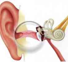 Akutní zánět středního ucha - v průměru, hnisavá, katar, akutní zánět středního ucha u dětí, léčba