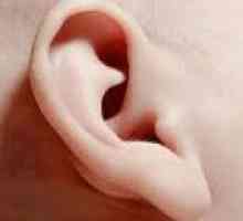Proč necitlivé ucho? důvody