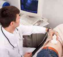 Ultrazvukové vyšetření ledvin: příprava pro studium