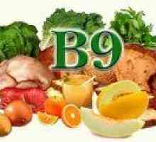 Jaké potraviny obsahují kyselinu listovou? (Vitamin B9)