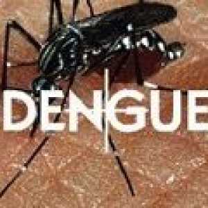 Horečka dengue: příčiny, příznaky, léčba