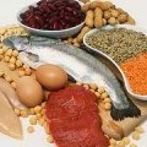 Jaké potraviny obsahují bílkoviny?