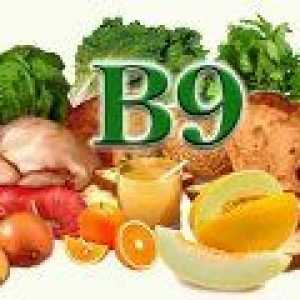 Jaké potraviny obsahují kyselinu listovou? (Vitamin B9)