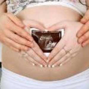 Má ultrazvuk poškozuje plod během těhotenství?