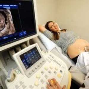 Škodlivý při ultrazvuku v průběhu těhotenství? Kolikrát můžete dělat?
